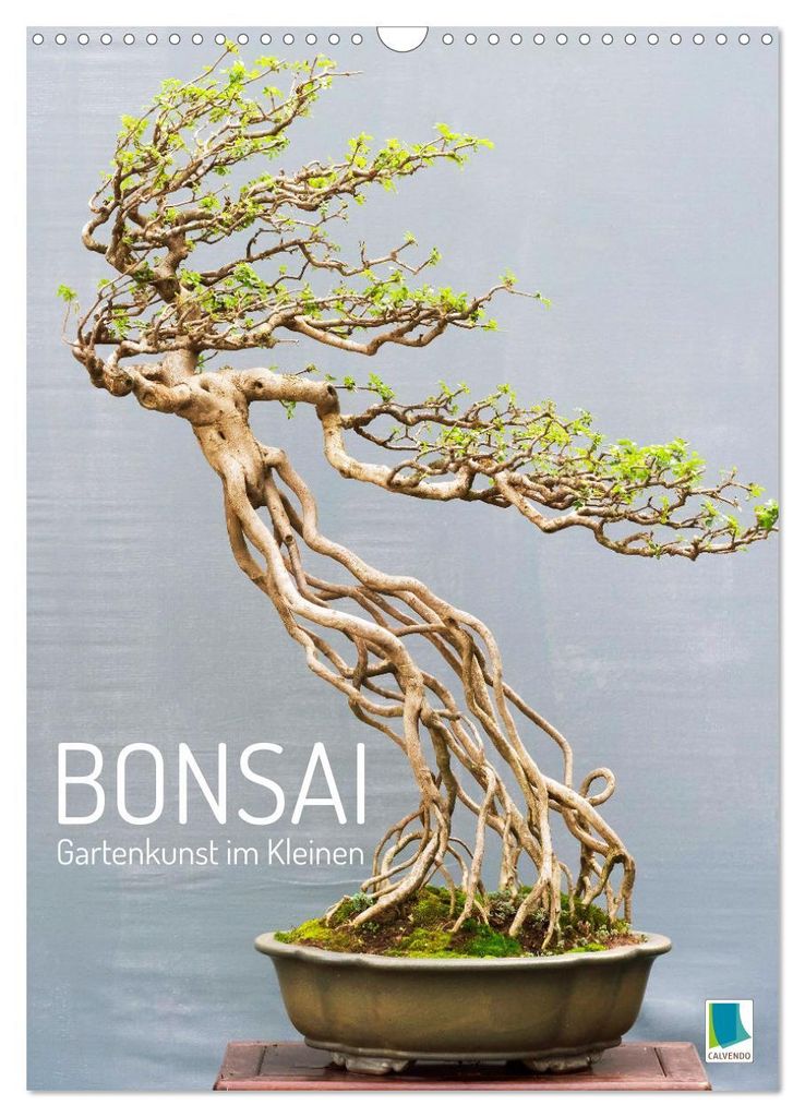 Bonsai: Gartenkunst im Kleinen (Wandkalender 2027 DIN A3 hoch), CALVENDO Monatskalender