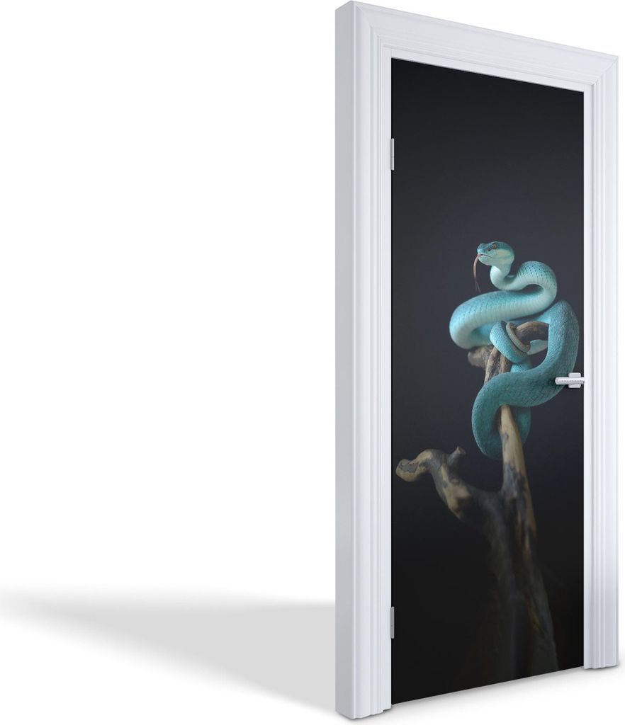 Wandtattoos Türen Selbstklebende Wandsticker Türtapeten - Blaue Schlange - 85 x 205 cm