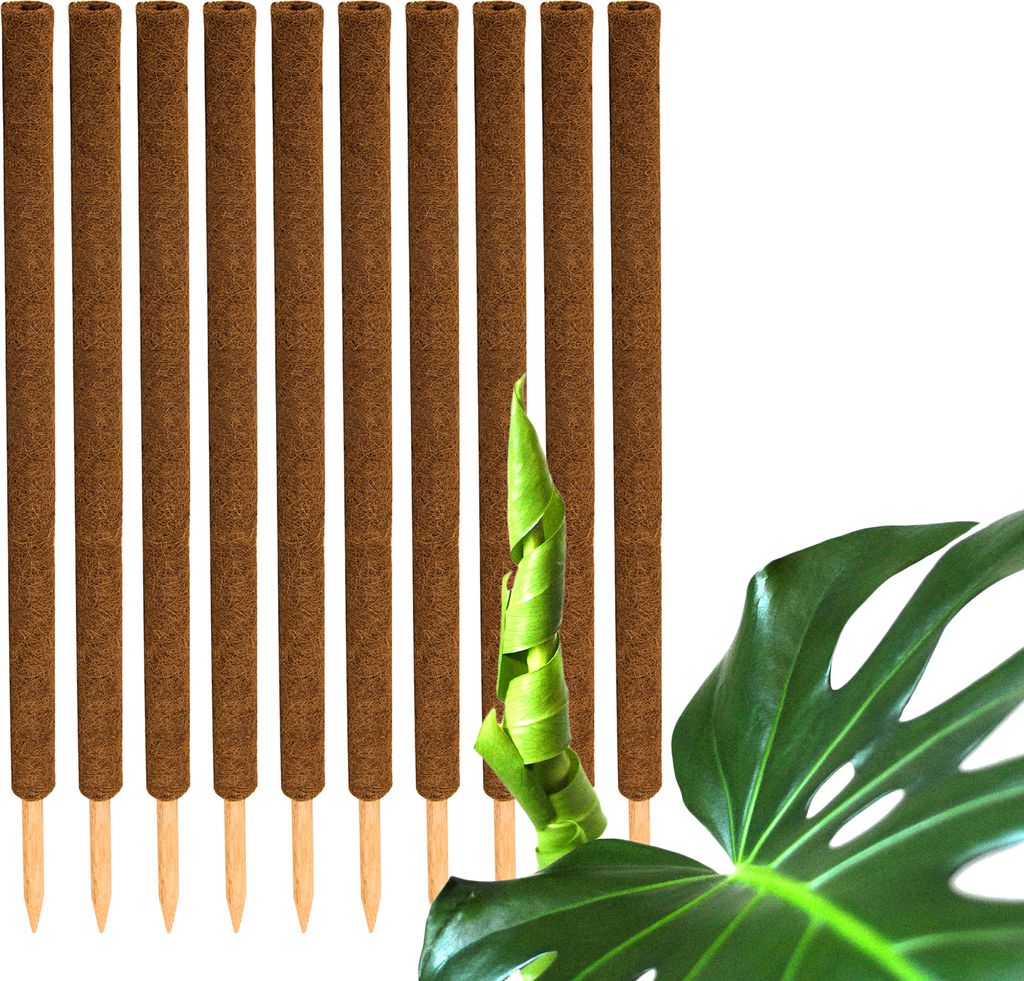 10er Set Pflanzstäbe Kokos 110 cm - Monstera Rankhilfe Produktbild 