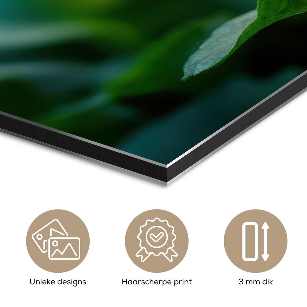 MuchoWow Wanddekoration Metall Metallbild Wandkunst 30x40 cm Veilchen - Lila - Blume - Blatt MuchoWow Aluminium Gemälde - Bilder