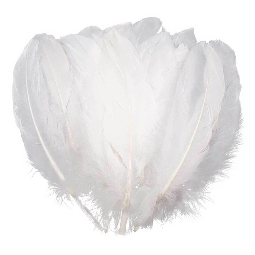 20 Enten-Federn 15-21cm Bastelfedern Federn f. Basteln Dekoration Hüte Kostüme, Farbe:weiß
