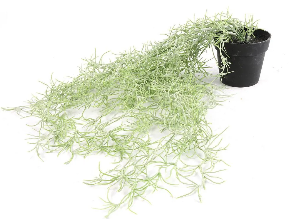 Grande plante décorative artificielle Tillandsia vert de 50 cm de haut