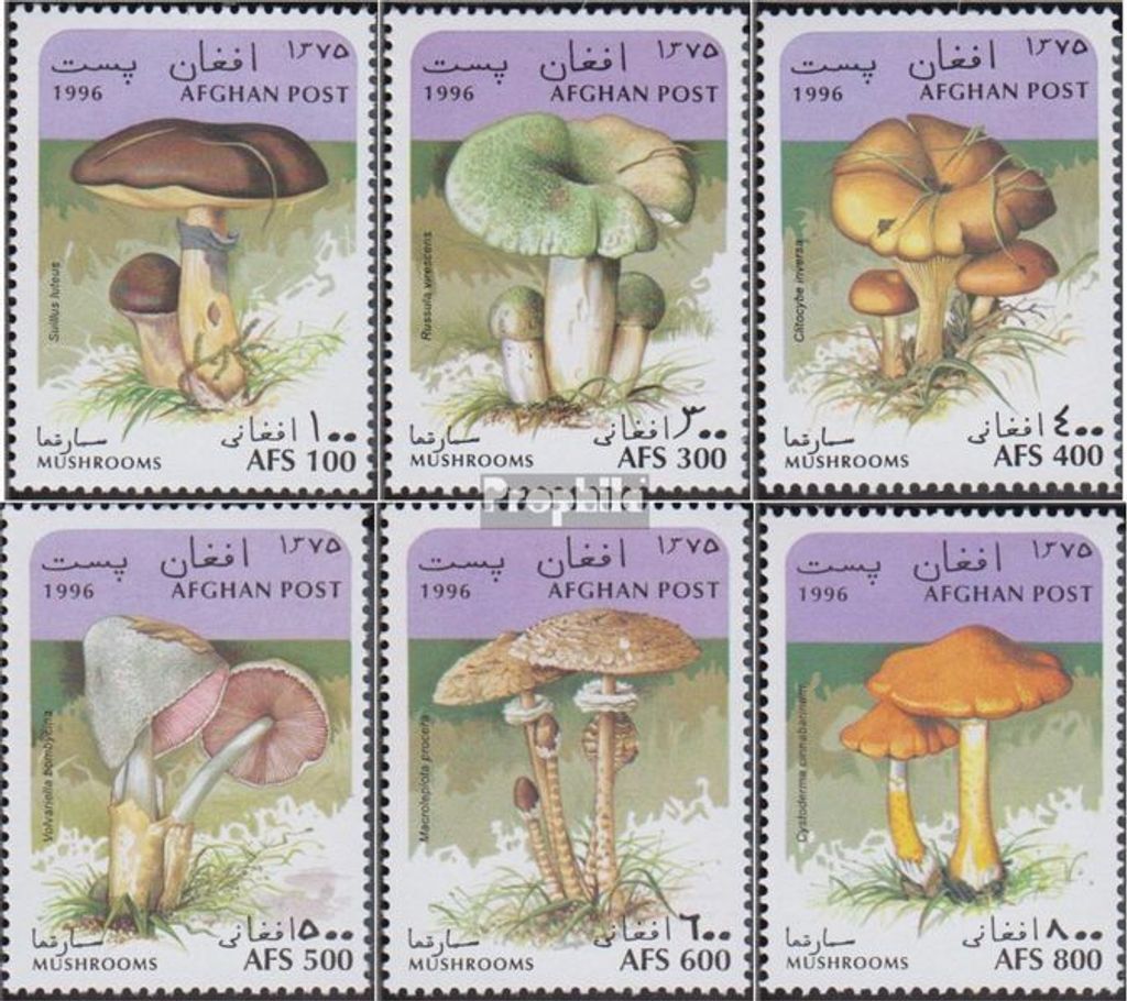 Briefmarken Afghanistan 1996 Mi 1668-1673 (kompl.Ausg.) postfrisch Pilze