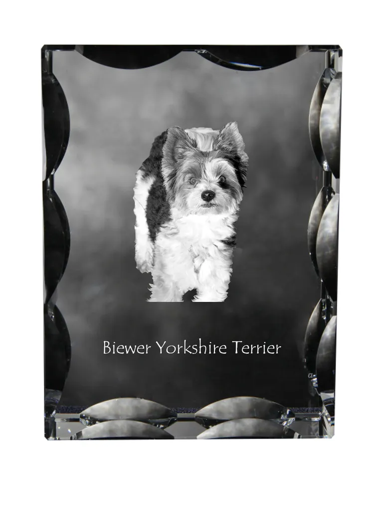 Cristallo Biewer Yorkshire Terrier Art-Dog: Cornice e Statuetta con Foto