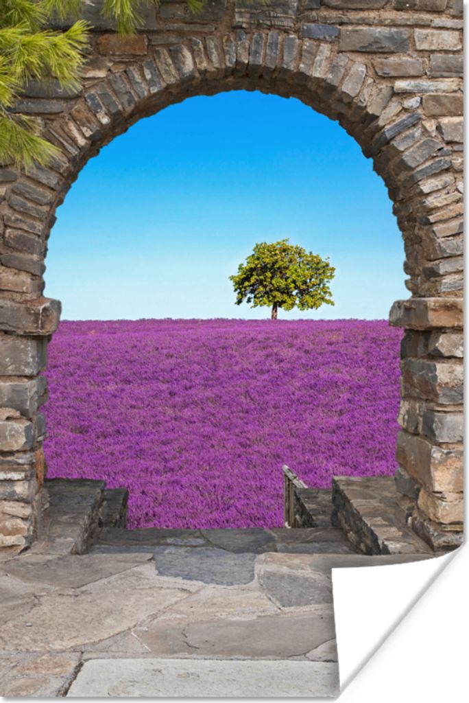 MuchoWow Poster Blumen - Lavendel - Baum - Ansicht 60x90 cm - Wanddekoration