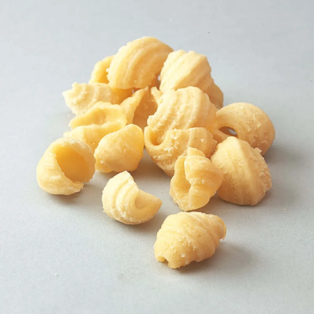 Filière Bronze Conchigliette Kenwood A910010 Robuste et Authentique