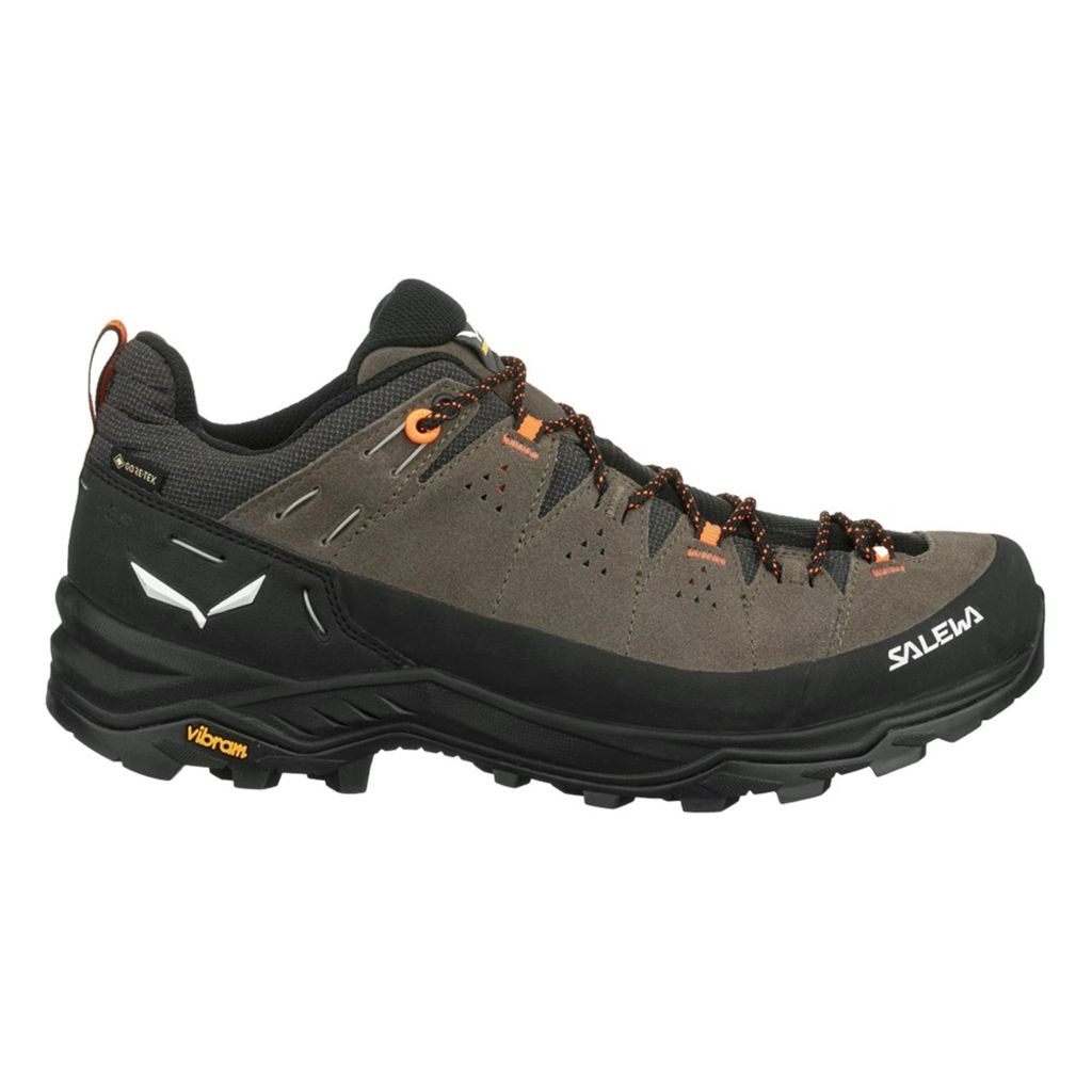 Salewa Alp Trainer 2 Gtx M Bungee Cord/Black Bungee Cord/Black 9