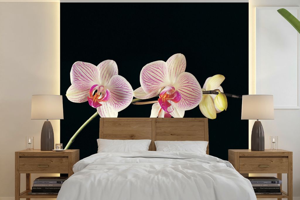 MuchoWow Fototapete für Wohnzimmer oder Schlafzimmer Wandtapete Vinyl Motivtapete Orchidee - Blumen - Schwarz - Rosa - Knöpfe - 220x220 cm - Ta...