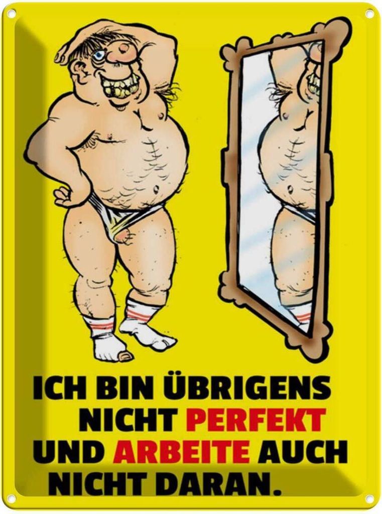 vianmo Blechschild 40x30 cm Ich bin übrigens nicht perfekt Spruch Zitat