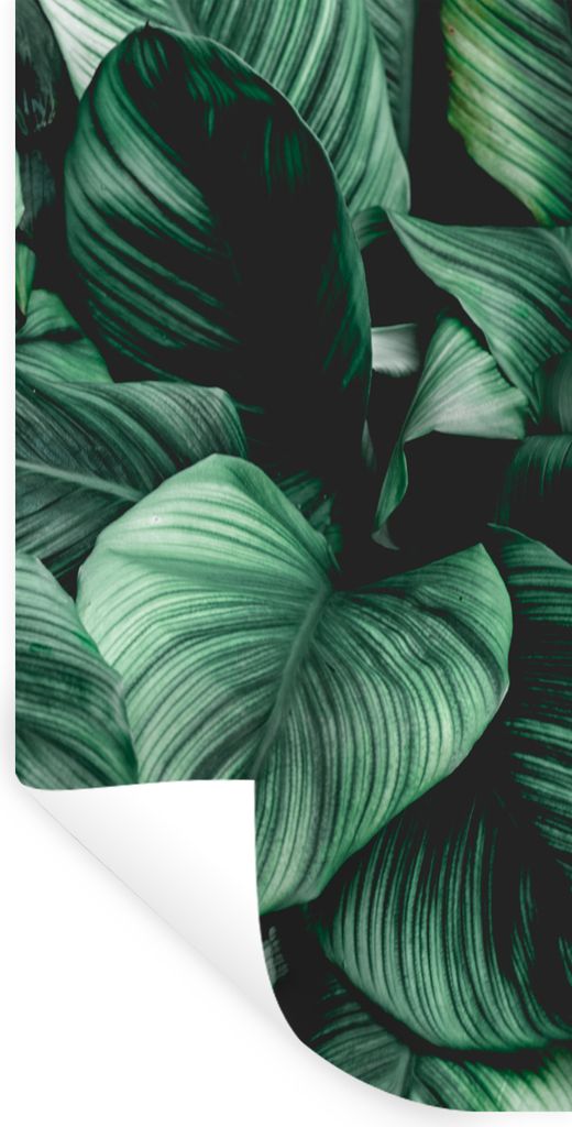 MuchoWow Wandtattoo Wandsticker Wandaufkleber Dschungel - Blätter - Tropisch - Pflanzen - Natur 20x40 cm Selbstklebend und Repositionierbar - Se...