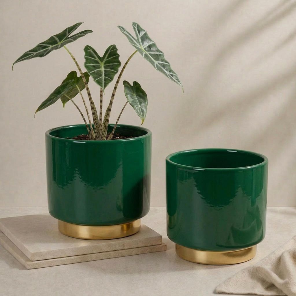 Übertöpfe in Ø 13 cm, Dunkelgrüne Blumentöpfe im 2er Set