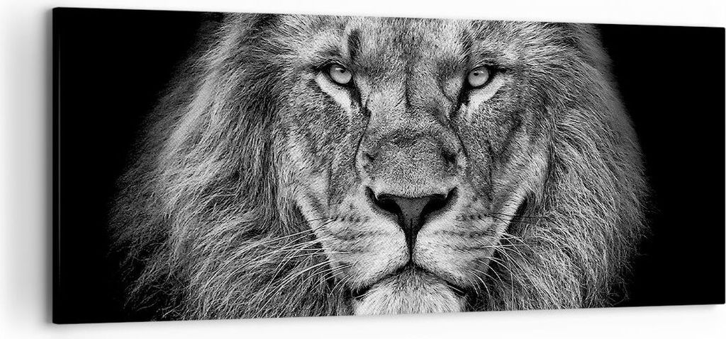 Bild auf Leinwand - Leinwandbild - Einteilig - Porträt Löwe Schwarzweiß - 120x50cm - Wand Bild - Wanddeko - Wandbilder - Leinwanddruck - Bilder ...