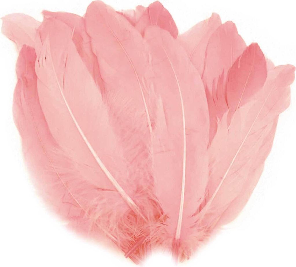 20 Entenfedern 15-21cm Bastelfedern Federn Dekofedern f. Hüte Kostüme Basteln