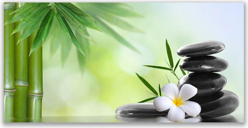 Tulup Leinwand-Bilder 120x60 Wandbild Canvas Kunstdruck Bambusrohre Blume Steine Kunst