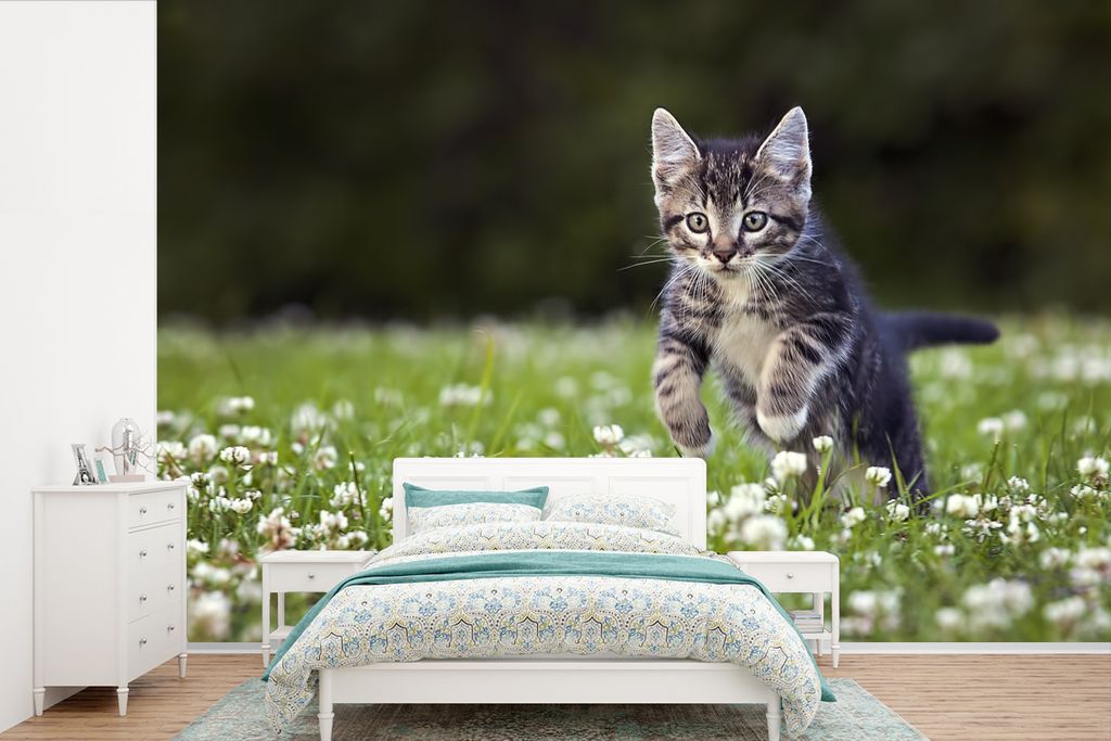 MuchoWow Fototapete für Wohnzimmer oder Schlafzimmer Wandtapete Vinyl Motivtapete Blumen - Kätzchen - Frühling - 420x280 cm - Zimmer für Kinder