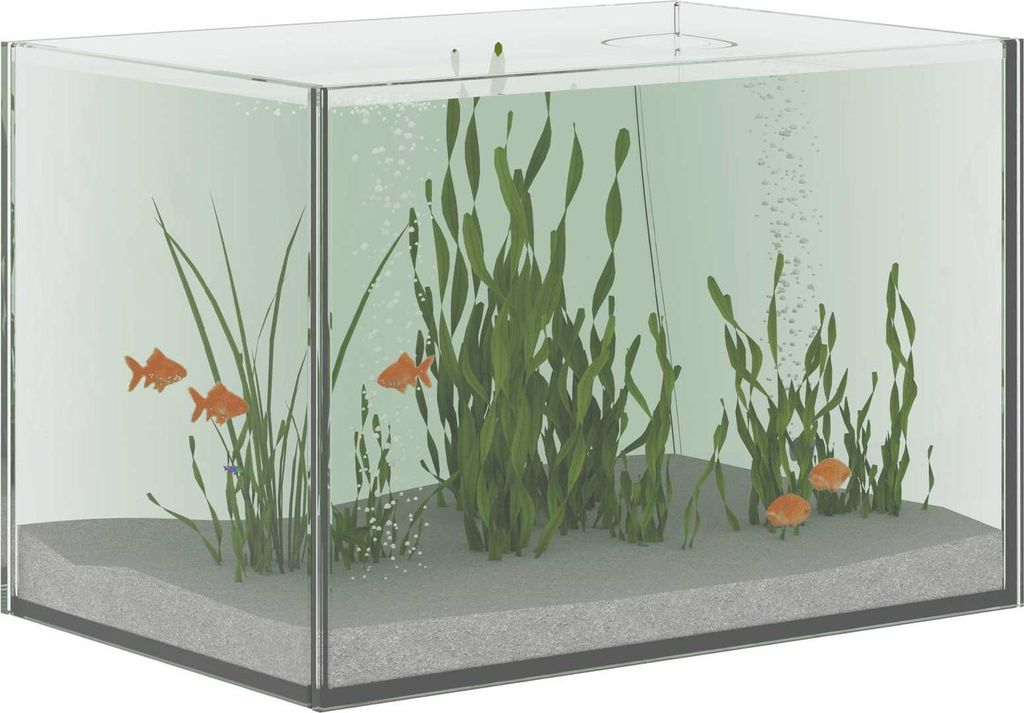 (Design 2026) Aquarium mit Speicher Transparent 30 x 20 x 20cm Glas - Aquarien HOMMIE 578172 - Aquarien