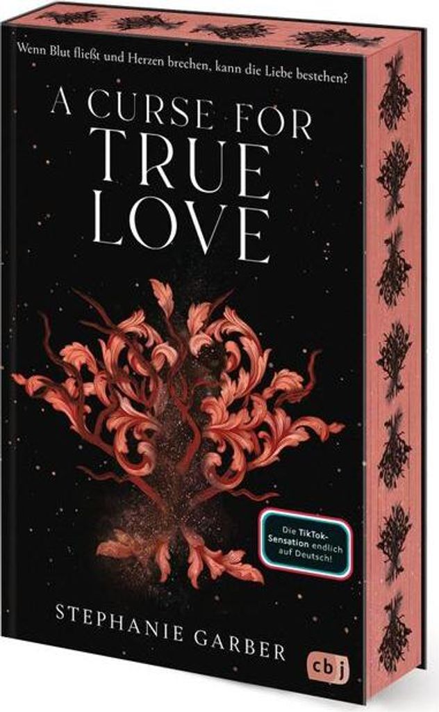 A book cover with a decorative design and text.