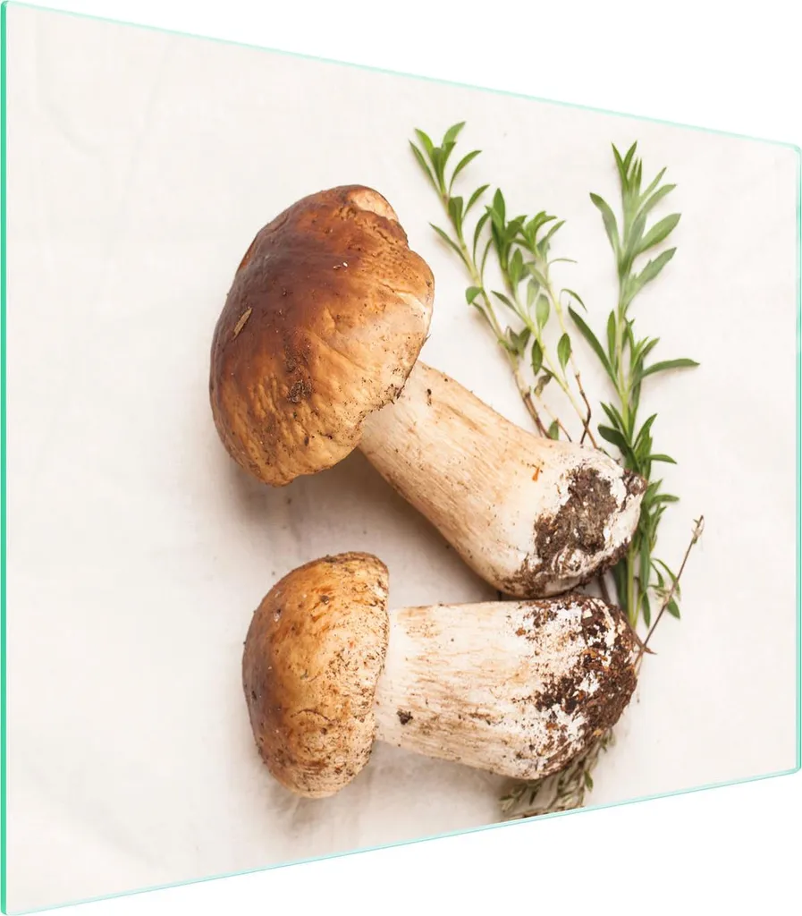 Tagliere Vetro Temperato 52x40 Funghi | Protezione Piano Cottura