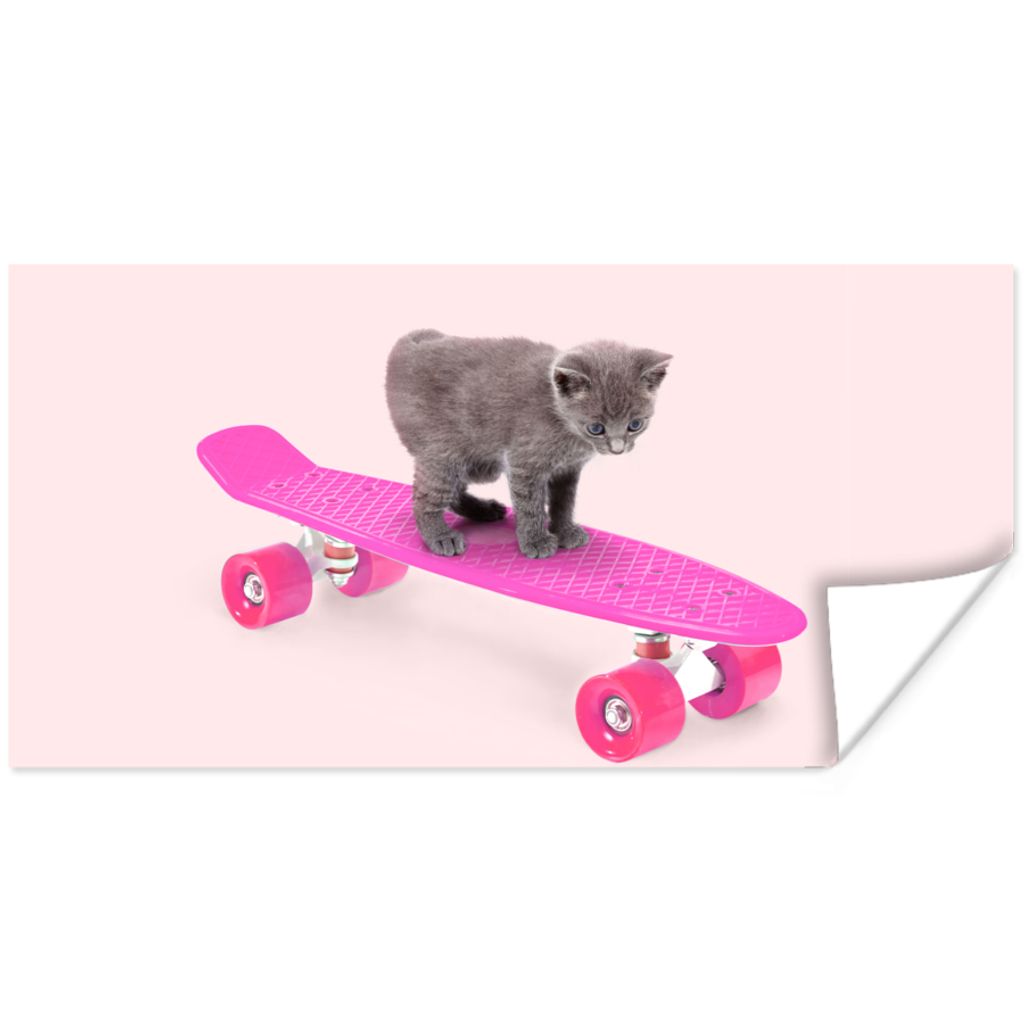 MuchoWow Poster Katze - Kätzchen - Tiere - Skateboard - Rosa 120x60 cm - Bild