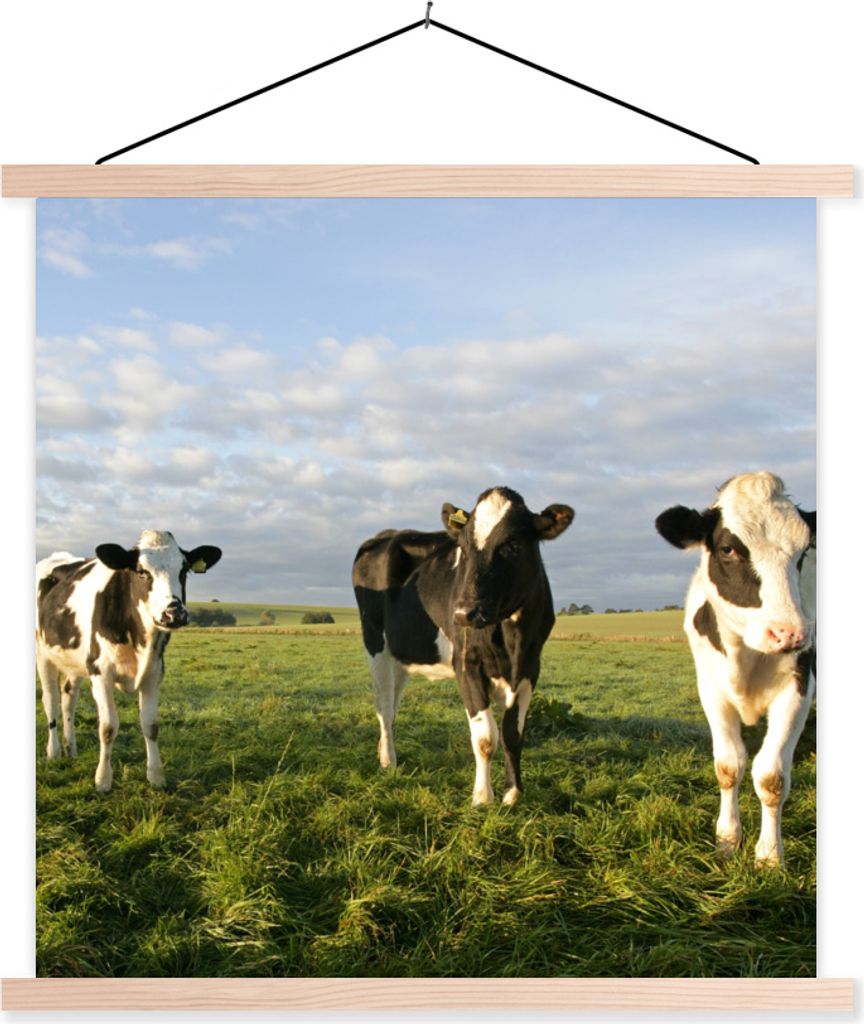MuchoWow Textilposter Kuh - Sonne -Tier 40x40 cm mit holzfarbenen Rahmen - Posterleiste