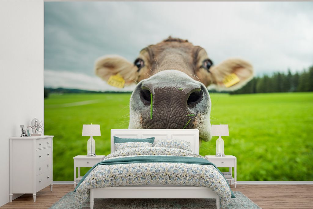 MuchoWow Fototapete für Wohnzimmer oder Schlafzimmer Wandtapete Vinyl Motivtapete Kuh - Tiere - Gras - Makro - 330x220 cm - Fototapeten