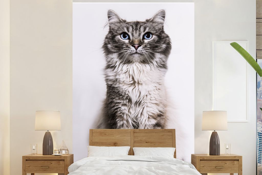 MuchoWow Fototapete für Wohnzimmer oder Schlafzimmer Wandtapete Vinyl Motivtapete Katze mit blauen Augen auf weißem Hintergrund - 200x300 cm - ...