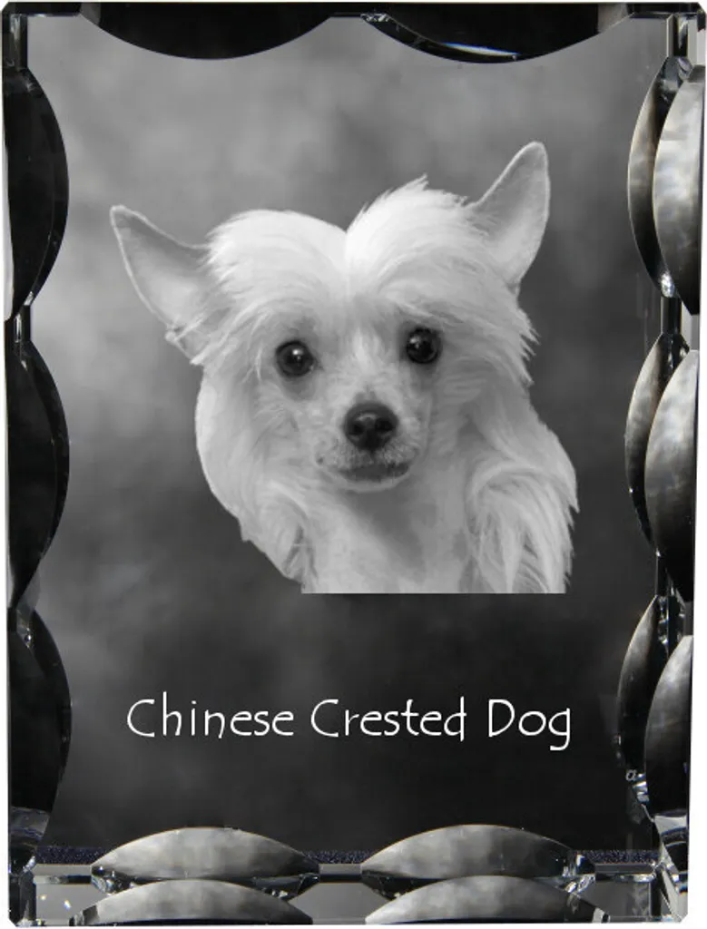 Collezione Art-Dog Cane Crestato Cinese | Cristallo inciso da Collezione