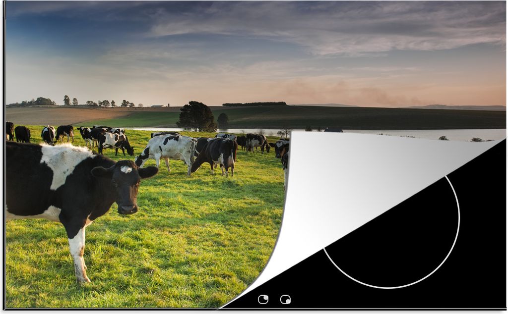 KitchenYeah Herdabdeckplatte Kuh - Gras - Sonnenuntergang , 81x52cm, Küche Deko, Glaskeramikfeld Herdabdeckung, Abdeckplatte fùr Kochfeld