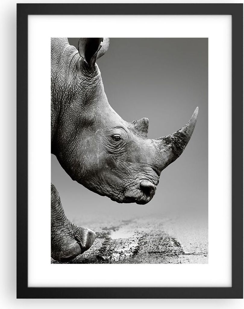 Gerahmtes Poster - Schwarzer Rahmen - Nashorn Monochrom Tier - 30x40 cm - Wand Bild - Wanddeko - Wandbilder - Kunstposter - Wandposter - Bilderrahm...