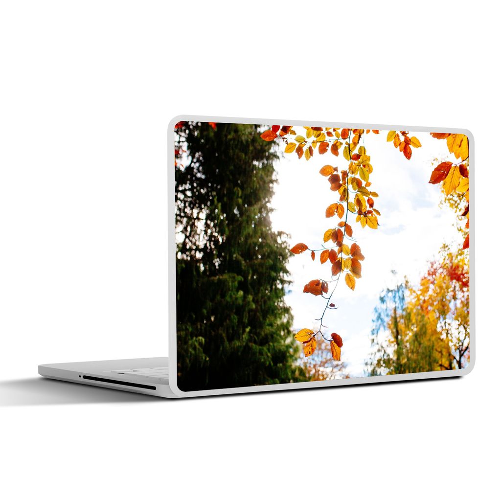 MuchoWow Laptop Aufkleber Sticker Cover Herbst - Laub - Natur 32.5x23.5 cm - Sticker für Laptop - Selbstklebend