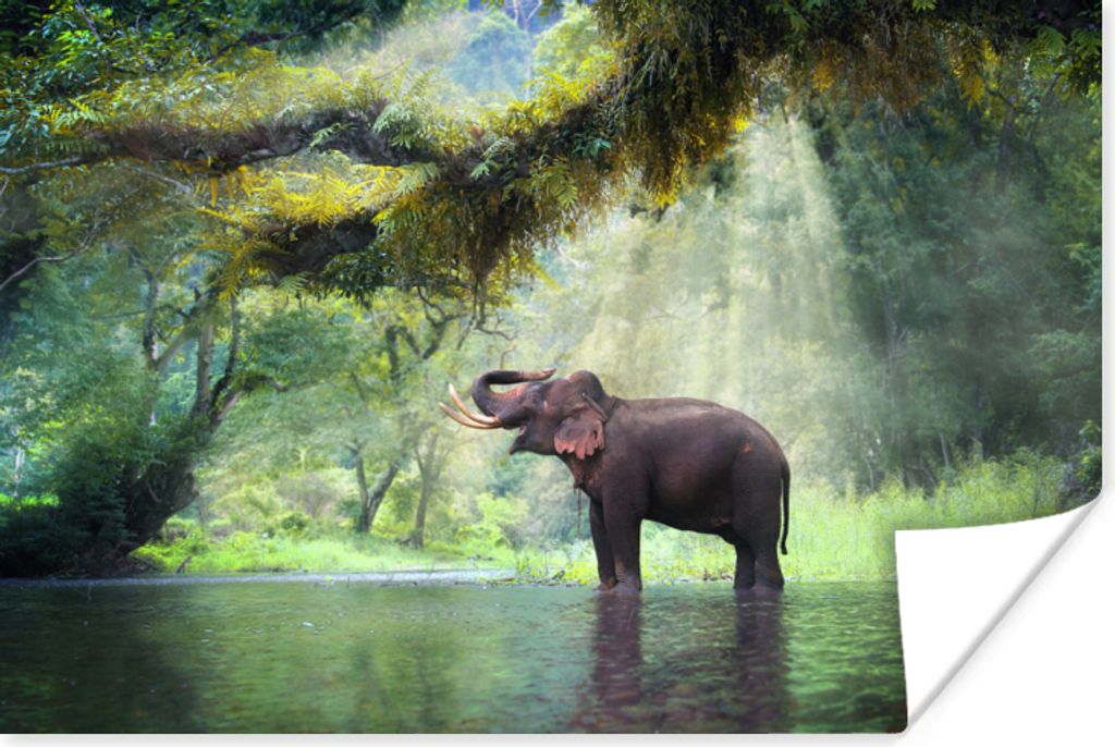 MuchoWow Poster Dschungel - Elefant - Wasser 120x80 cm - Bilder