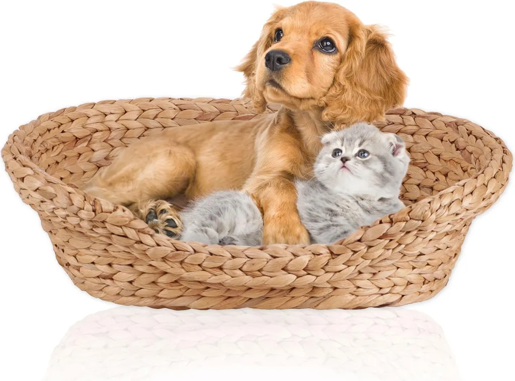 Panier pour chat et petit chien en jacinthe d'eau naturelle Lycce T2