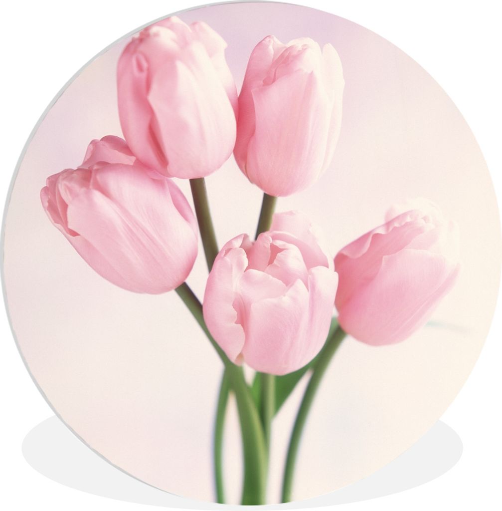 MuchoWow Rundes Wandbild - Runde Bilder Nahaufnahme von rosa Tulpen Ø 60 cm Kreis Wanddekoration Kunststoff - Wandkreis - Wandschmuck - Wand Kre...