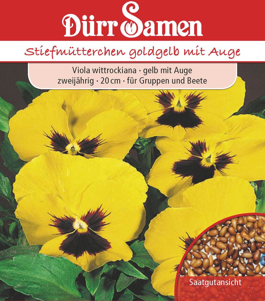 Dürr-Samen - Stiefmütterchen Goldgelb mit Auge zweijährig 20 cm - Saatgut - 0761