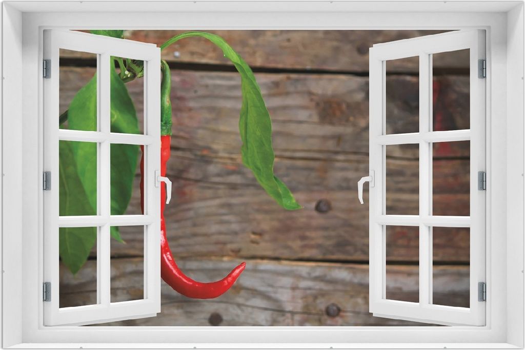 Wallario Wandbild mit Fenster-Illusion: Hängende Chili-Schote, Größe: 61 x 91,5 cm, Poster mit rahmenlosen Bildhalter