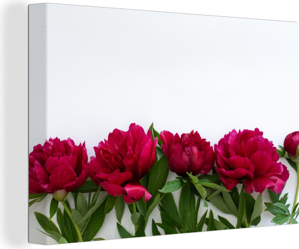 OneMillionCanvasses - Leinwandbilder - 140x90 cm, Eine Reihe von roten Pfingstrosen, Wandbilder Kunstdruck Wanddekoration - Foto auf Leinwand - G...