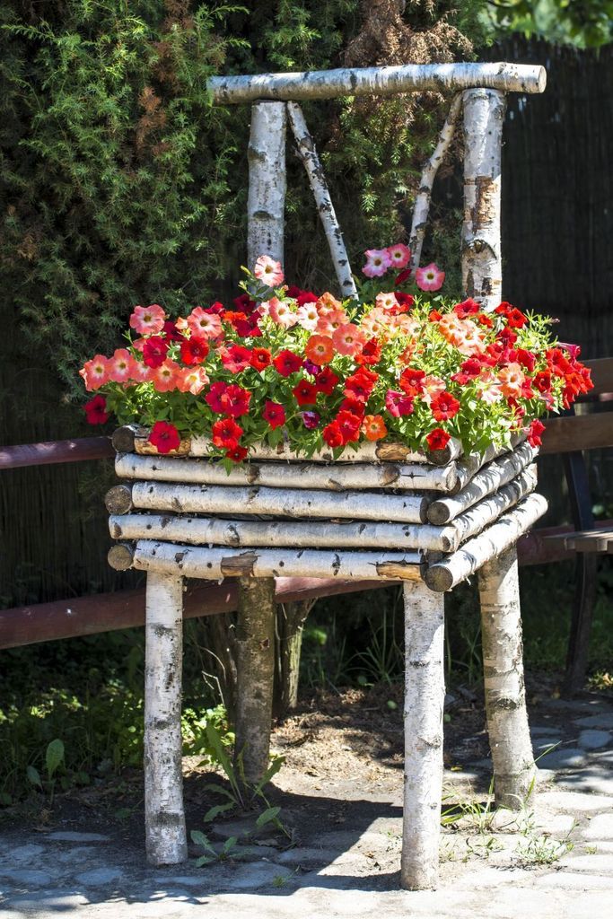 Birkenstamm 180 cm ø 2-4 cm Produktbild 3
