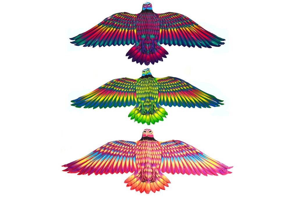 Létající drak orel 132 x 60 cm Obrázek produktu 