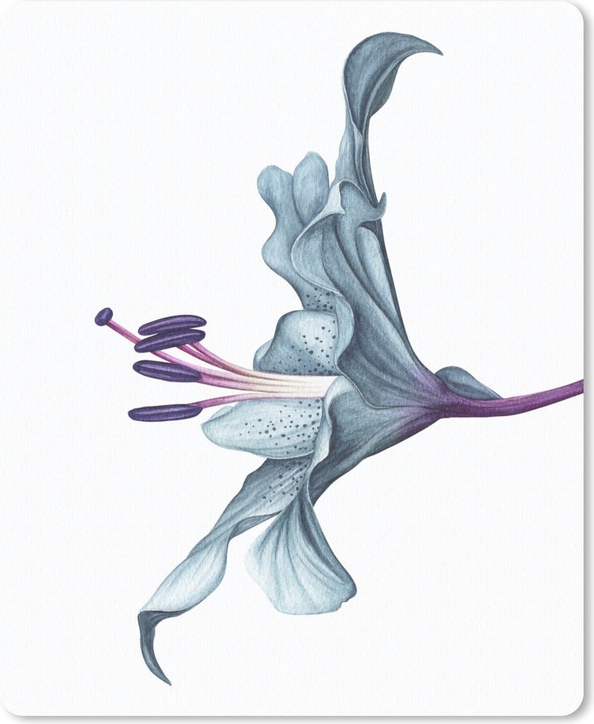 MuchoWow Mauspad Mousepad Blumen - Aquarell - Lilie 19x23 cm - Mousepads - Maus Mat - Pad - Mausunterlage - Mauspads - Spielen