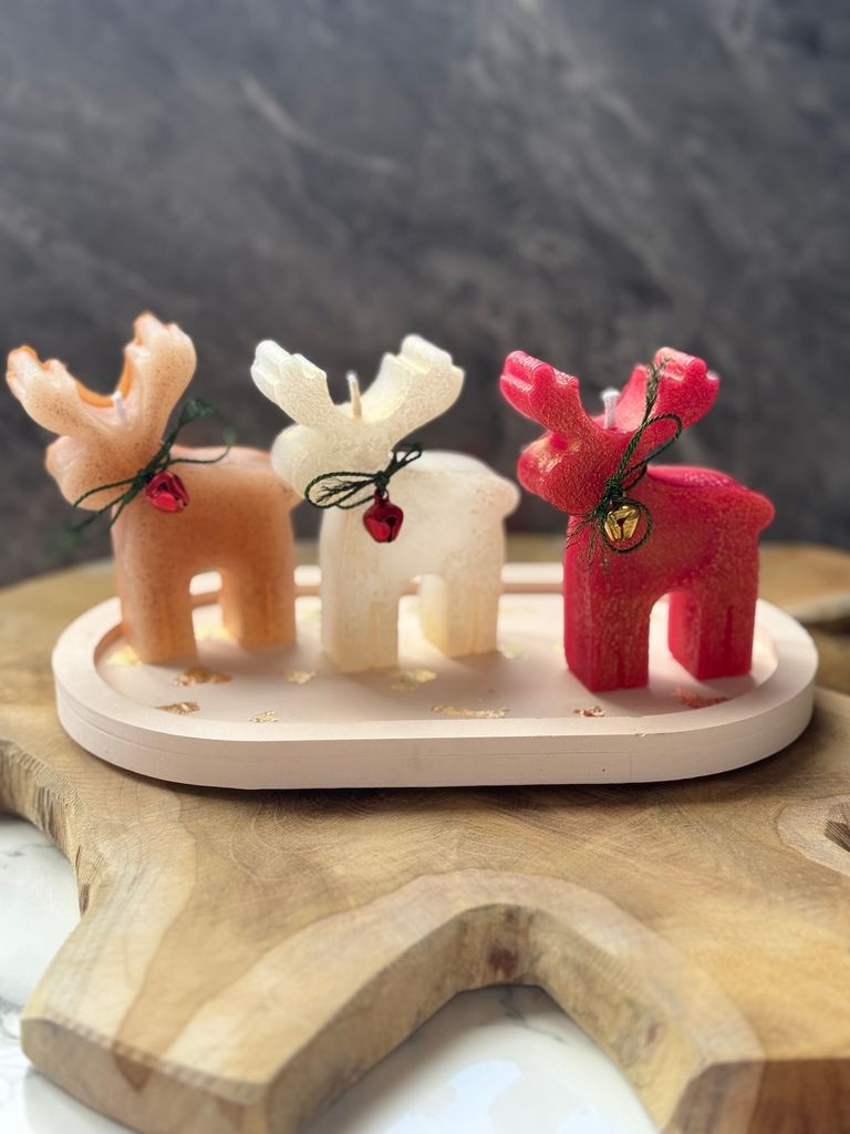 Evila Originals, Christmas Candle Set3, Kerzenset (4 Stück), Mehrfarbig, 100 % BETON, 8 x 7 x 2 cm