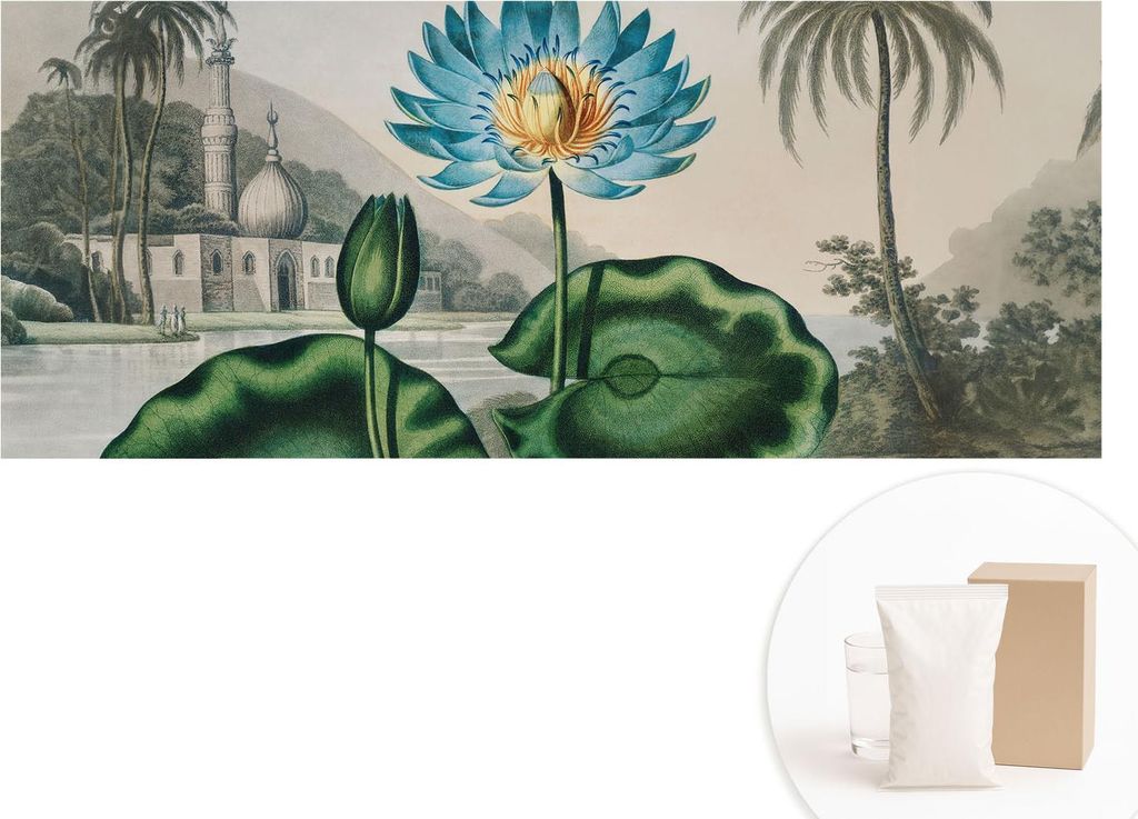 Fototapete - Wandbilder für Wohnzimmer - 208x146 cm - Dekorative Wandfolie - Modernes Design für Wanddekoration - Tapeten für Innenräume - Exot...