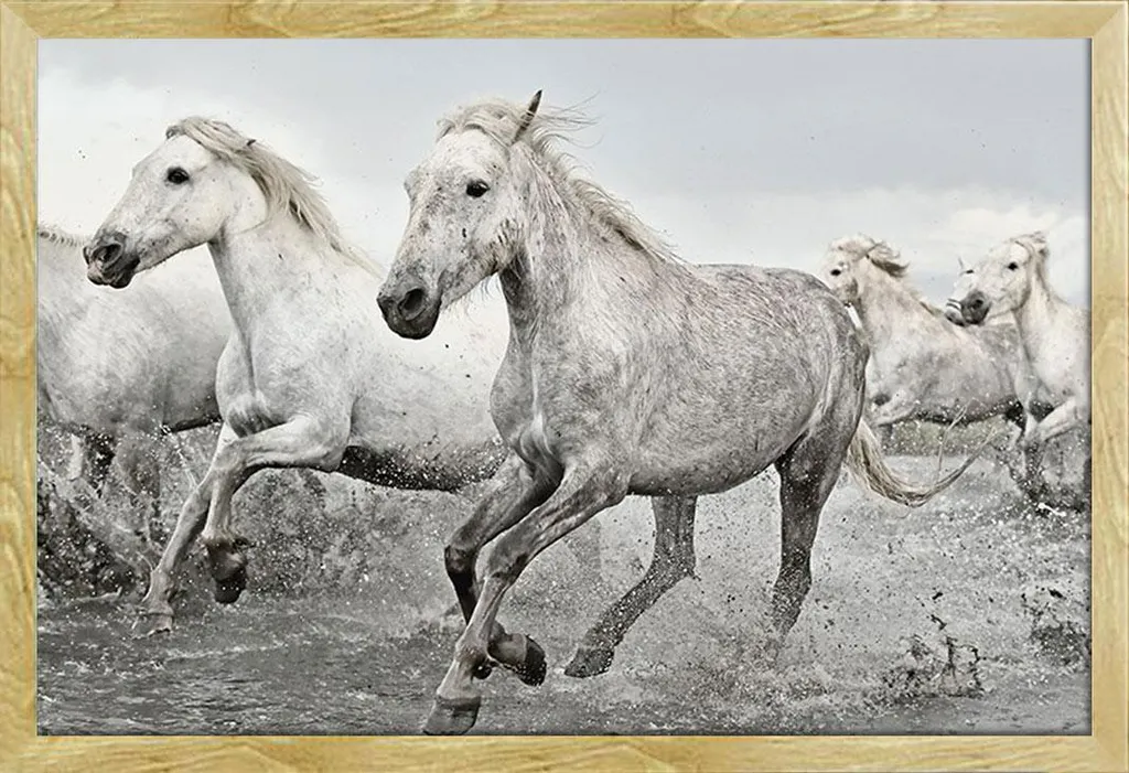 Décoration Murale Cheval Blanc pour Salon : Cadre Hêtre et Vitre 61x91