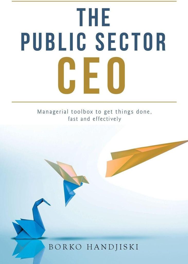 The Public Sector CEO