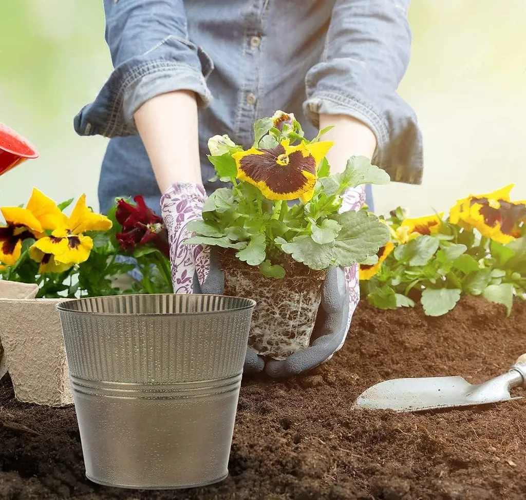 Lot de 6 Pots Oairse Jardinière en Zinc pour Plantes Extérieur et Jardin