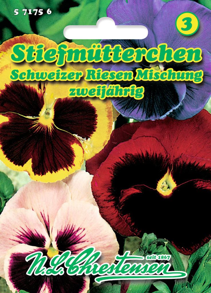 Stiefmütterchen Schweizer Riesen Mischung | Stiefmütterchensamen von N.L. Chrestensen