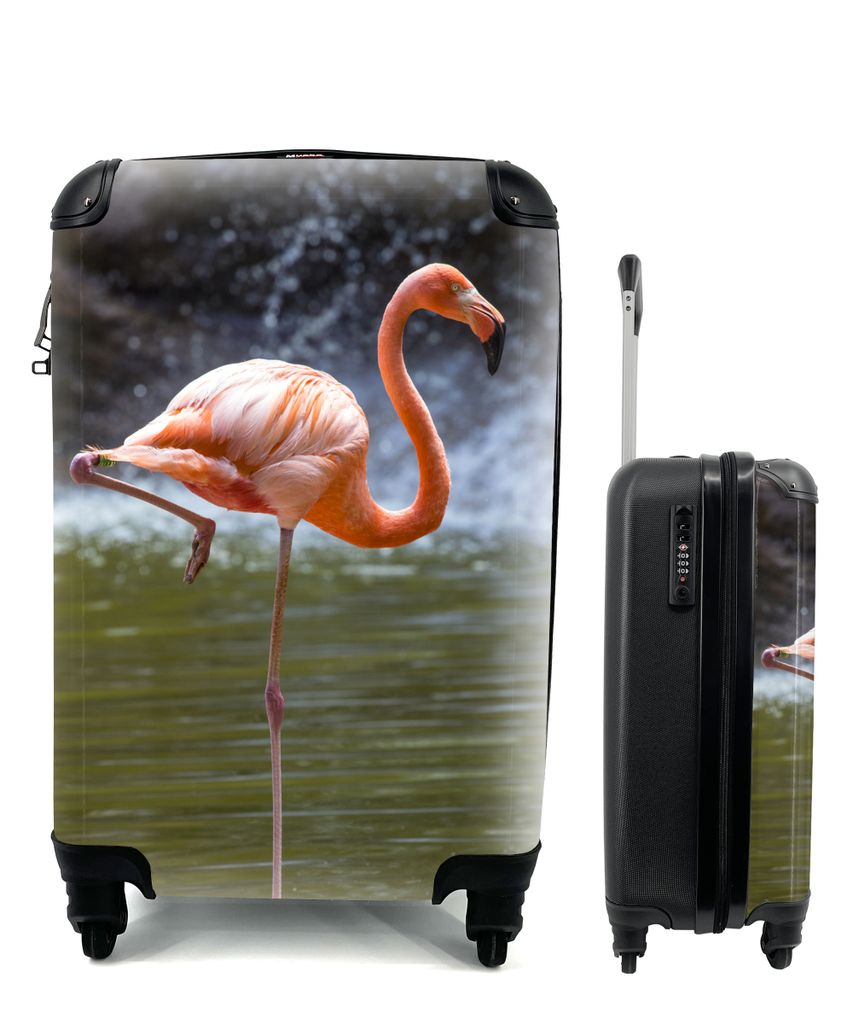 MuchoWow Koffer Handgepäck Trolley Rollkoffer Kleine Reisekoffer mit 4 Rollen - Ein Flamingo steht im Wasser - Cabin Size < 55x40x23 cm & 55x40x...
