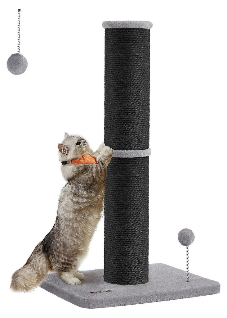 Kratzbaum Für Katzen - Kratzsäule - 85 cm Hoch - 13 cm Starker Stamm - Doppelstöckig - Holz - Für Mittelgroße und Große Katzen - Schwarz