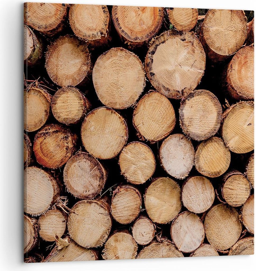 Bild auf Leinwand - Leinwandbild - Einteilig - Holz Baumstämme Stämme - 50x50cm - Wand Bild - Wanddeko - Wandbilder - Leinwanddruck - Bilder - Wa...