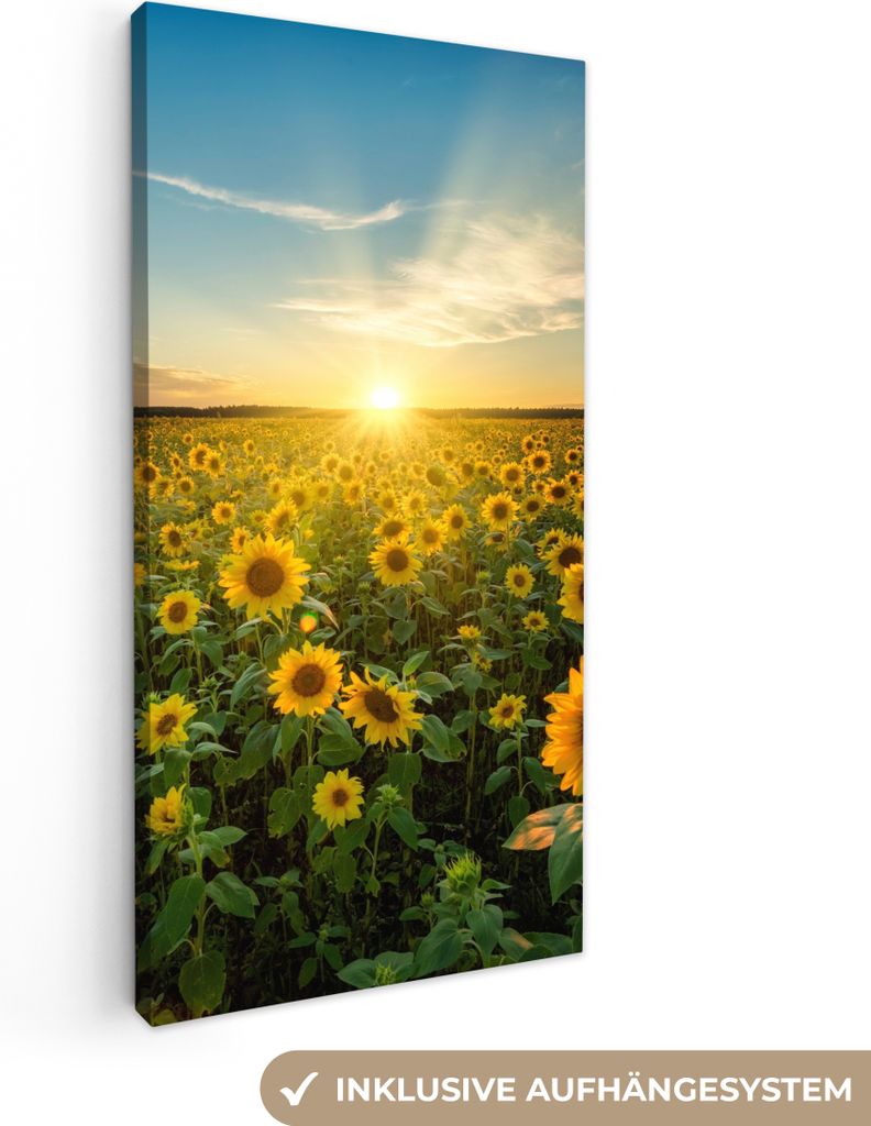 MuchoWow - Leinwandbilder - Sonnenuntergang - Blumen - Sonnenblume - Horizont - Landschaft, Wandbild, Wanddeko Bilder Wohnzimmer, 20x40 cm