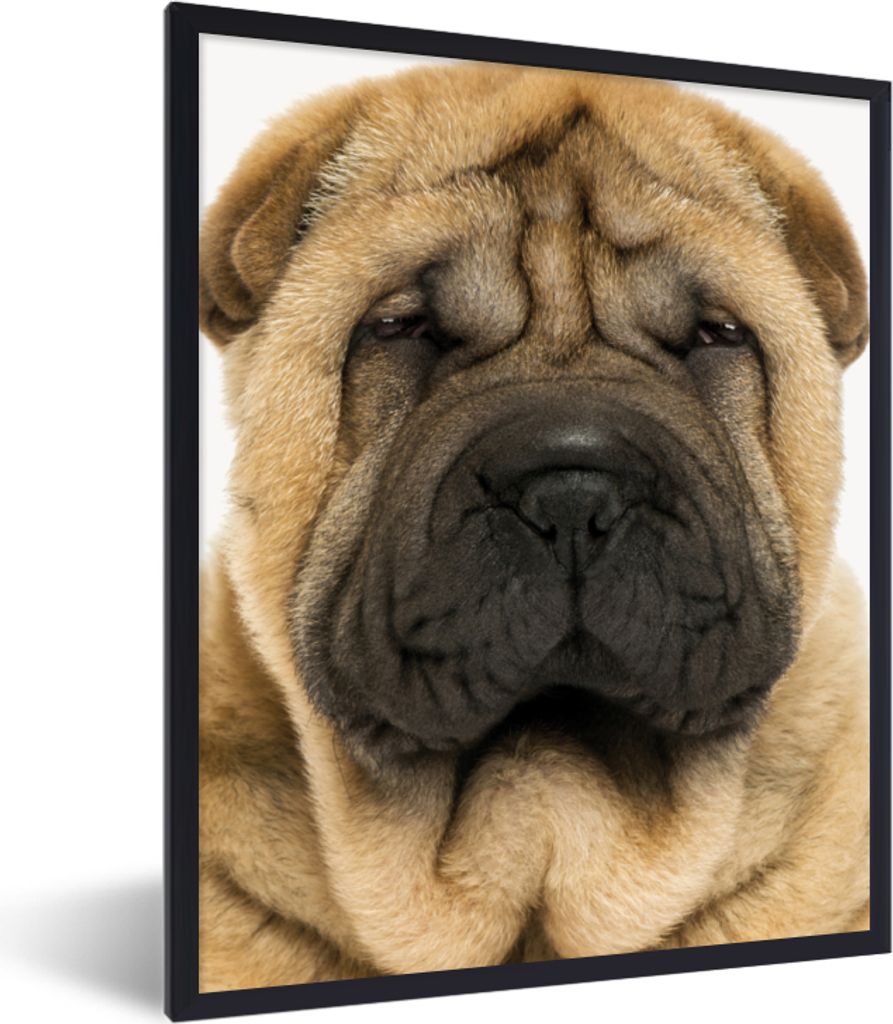 MuchoWow Gerahmtes Poster Hund - Jungen - Sharpei - Haustiere - Mädchen - Kinder 30x40 cm - Poster mit Schwarzem Bilderrahmen Wandposter Rahmen ...